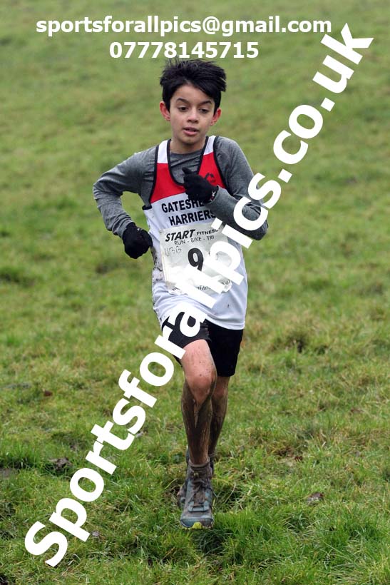 Boys under-13s, NECAA Junior Cross Country Relays, Thornley Farm, Peterlee, Saturday, December 12th. Photo: David T. Hewitson/Sports for All Pics